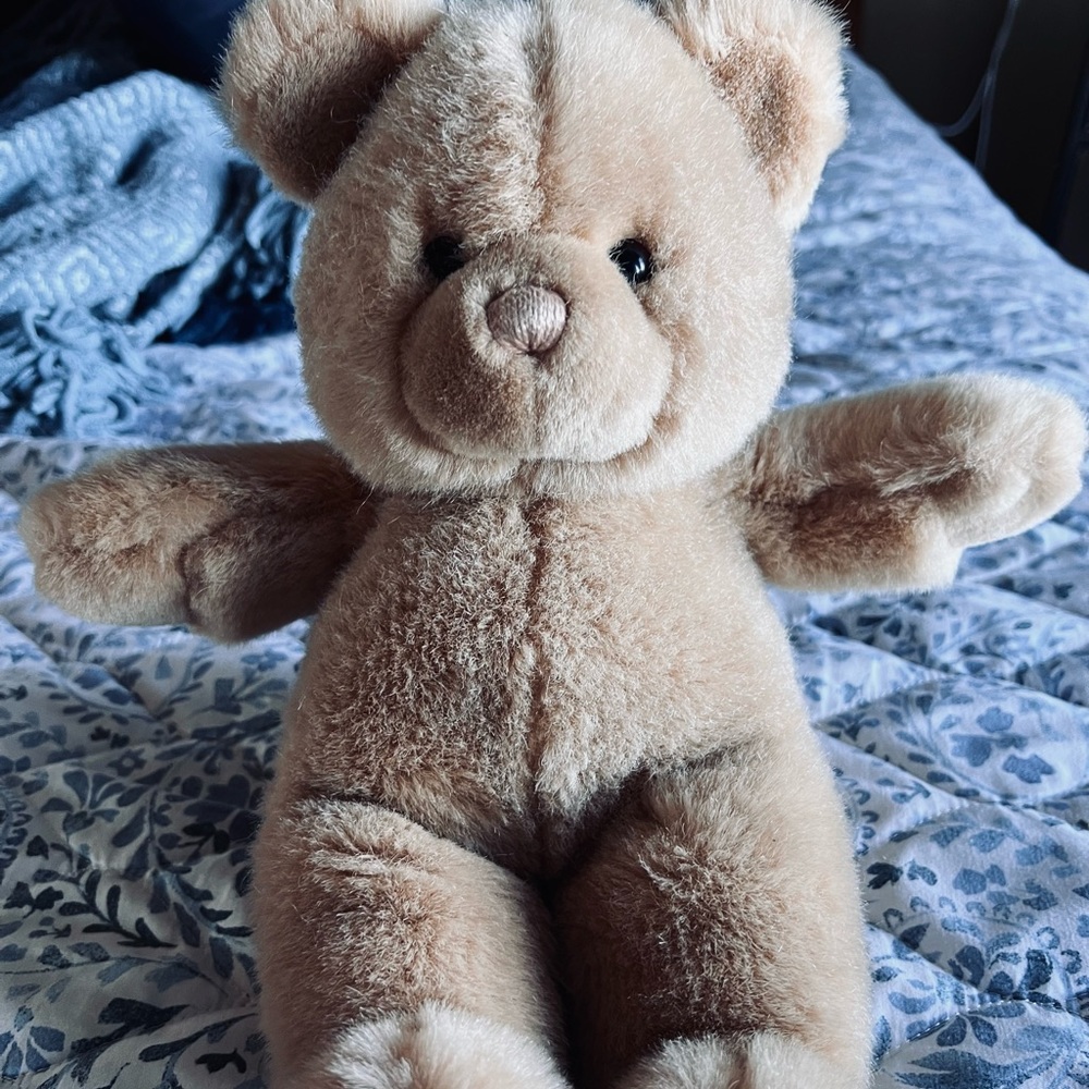 Baby Gund 1990 Wind Up Musical Bear 15”